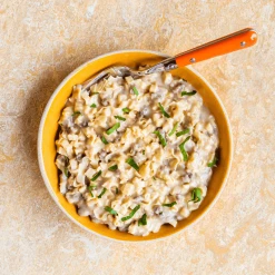 Mountain House Classic Beef Stroganoff With Noodles 6 Mountain House Classic Beef Stroganoff With Noodles -Outdoor-camping 1021159 800 auto