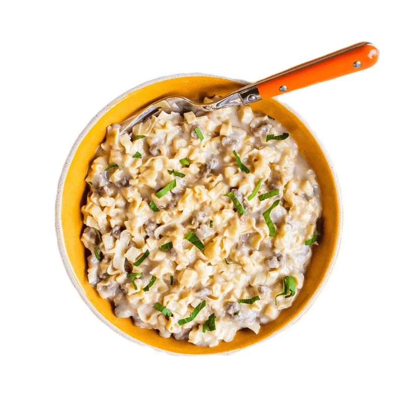 Mountain House Classic Beef Stroganoff With Noodles 1 Mountain House Classic Beef Stroganoff With Noodles