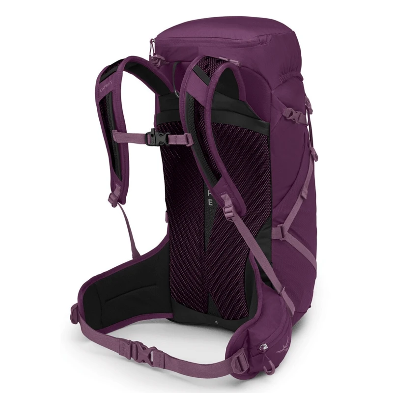 Osprey Sportlite 30L Backpack 2 Osprey Sportlite 30L Backpack - Image 2