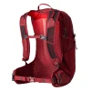 Gregory Maya 20 Backpack