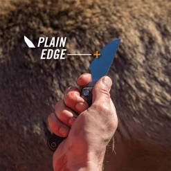 Gerber Downwind Caper Knife 9 Gerber Downwind Caper Knife -Outdoor-camping 1310803 800 auto