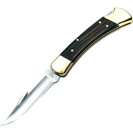 Buck Knives Folding 110 Hunter Knife 1 Buck Knives Folding 110 Hunter Knife