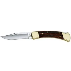 Buck Knives Buck Folding Hunter Knife