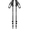 Black Diamond Trail Explorer 3 Trekking Pole (1 Pair)
